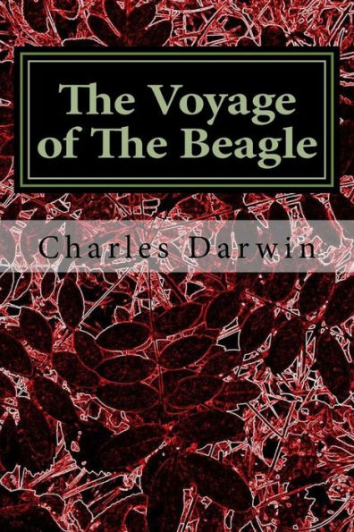 The Voyage of The Beagle