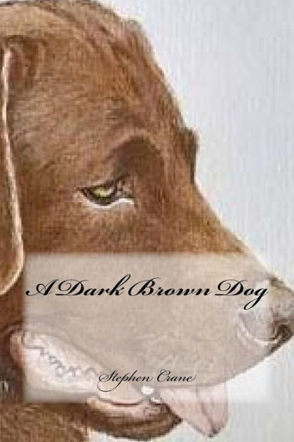 A Dark Brown Dog by Stephen Crane, Paperback | Barnes & Noble®