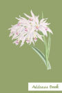 Address Book.: (Flower Edition Vol. F26) White Flower Cover Design. Glossy Cover, Large Print, Font, 6