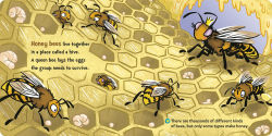 Alternative view 5 of Dr. Seuss Discovers: Bugs