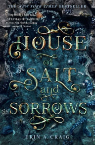 Text ebook download House of Salt and Sorrows DJVU iBook MOBI in English