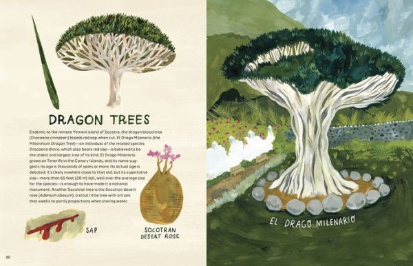 Trees: An Illustrated Celebration