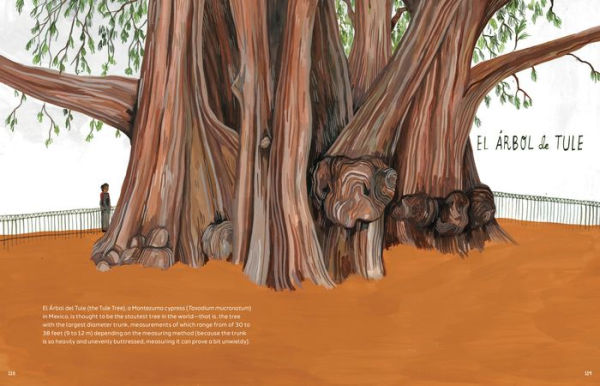 Trees: An Illustrated Celebration