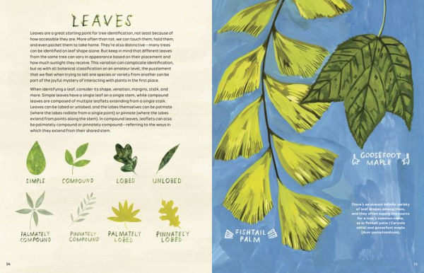 Trees: An Illustrated Celebration