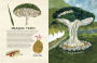 Alternative view 2 of Trees: An Illustrated Celebration