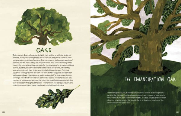 Trees: An Illustrated Celebration