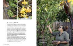 Alternative view 3 of Garden Wonderland: Create Life-Changing Outdoor Spaces for Beauty, Harvest, Meaning, and Joy