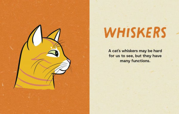 Kitty Language: An Illustrated Guide to Understanding Your Cat