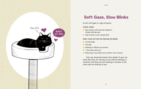 Kitty Language: An Illustrated Guide to Understanding Your Cat