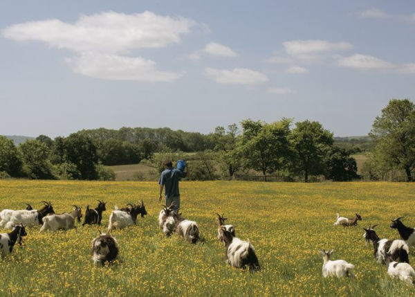 The Farm Table: [A Cookbook]