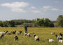 Alternative view 3 of The Farm Table: [A Cookbook]