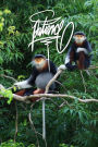 Patience: 6x9 Inch Lined Journal/Notebook for impatient people - Red-shanked douc langur monkey