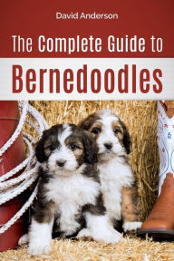 Title: The Complete Guide to Bernedoodles: Everything you need to know to successfully raise your Bernedoodle puppy!, Author: David Anderson
