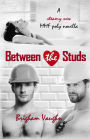 Between the Studs