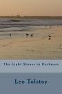 The Light Shines in Darkness