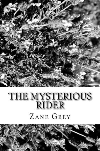 The Mysterious Rider