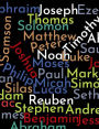 Composition Notebook: Bible Names For Boys Cover Wide Ruled Notebook 7.44 x 9.69