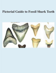 Title: Pictorial Guide to Fossil Shark Teeth, Author: James T Rathbone