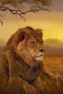 Watchful Lion on the Savanna Grasslands Journal: 150 Page Lined Notebook/Diary