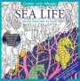 Color With Music: Sea Life