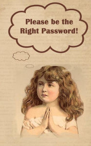 Title: Please be the Right Password: Internet passwords, addresses and usernames, humorous cover with A-Z index, Author: Kay D Johnson