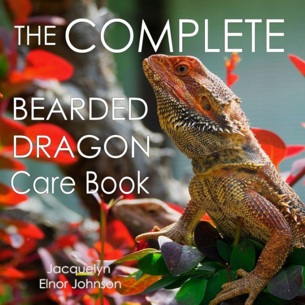 The Complete Bearded Dragon Diet Plan. Keep Your Pet Healthy and Happy –  Dragon's Diet