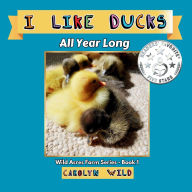 Title: I Like Ducks: All Year Long, Author: Carolyn Wild