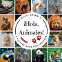 ï¿½Hola, Animales!: A Bilingual Picture Book to Build Vocabulary and Learn Animal Names and in Spanish and English