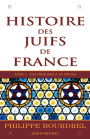 Histoire des Juifs de France - tome 1: Des origines à la Shoah