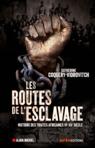 Title: Les Routes de l'esclavage: Histoire des traites africaines VIe-XXe siècle, Author: Catherine Coquery-Vidrovitch