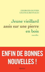Title: Jeune vieillard assis sur une pierre en bois: Nouvelles, Author: Georges-Olivier Châteaureynaud