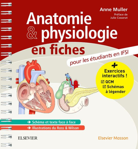 Anatomie Et Physiologie En Fiches Pour Les étudiants En IFSI: Avec Un ...