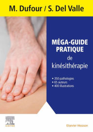 Title: Méga-guide pratique de kinésithérapie, Author: Michel Dufour