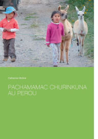 Title: Pachamamac Churinkuna au Perou, Author: Catherine Molinï