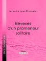 Rêveries d'un promeneur solitaire