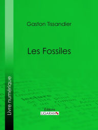 Title: Les Fossiles, Author: Gaston Tissandier