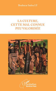 Title: La culture, cette mal connue peu valorisée, Author: Boubacar Sadou Ly