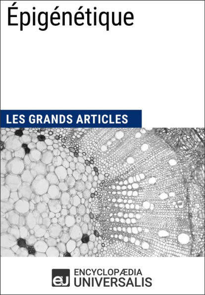 Épigénétique: Les Grands Articles d'Universalis