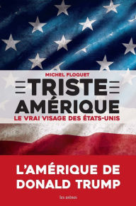 Title: Triste Amérique, Author: Michel Floquet