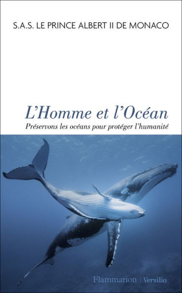 L'Homme et l'Océan