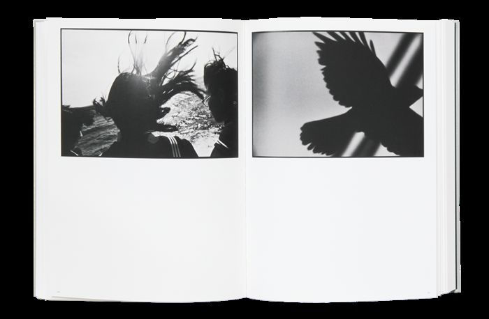 Masahisa Fukase art book | Japanese photographer – 50 Watts