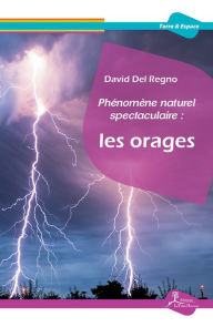 Title: Phénomène naturel spectaculaire : les orages, Author: David Del Regno