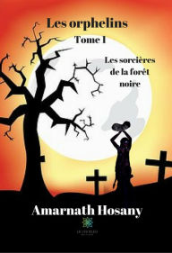 Title: Les Sorcières de la forêt noire: Roman jeunesse, Author: Amarnath Hosany