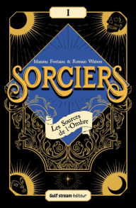 Title: Sorciers - Tome 1 Les Sources de l'Ombre, Author: Maxime Fontaine