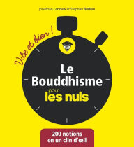 Title: Le Bouddhisme Vite et bien pour les Nuls, Author: Stephan Bodian