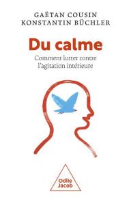 Title: Du calme: Comment lutter contre l'agitation intérieure, Author: Gaëtan Cousin