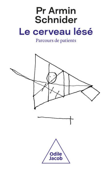 Le Cerveau lésé: Parcours de patients : fonctions atteintes et récupération