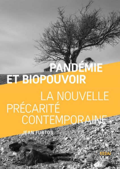 Pandémie et biopouvoir: La nouvelle précarité contemporaine