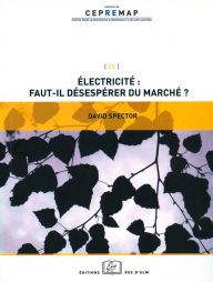Title: Électricité : faut-il désespérer du marché ?, Author: David Spector
