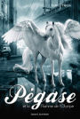 Pégase, Tome 01: Pégase et la flamme de l'Olympe